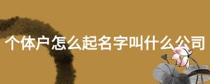 個(gè)體戶怎么起名字叫什么公司