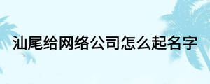 汕尾給網(wǎng)絡(luò)公司怎么起名字