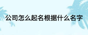 公司怎么起名根據(jù)什么名字