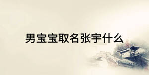 男寶寶取名張宇什么