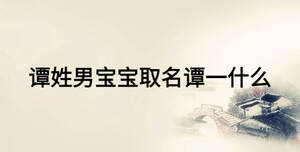 譚姓男寶寶取名譚一什么