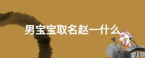 男寶寶取名趙一什么