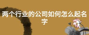 兩個(gè)行業(yè)的公司如何怎么起名字