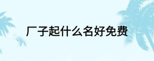 廠子起什么名好免費(fèi)