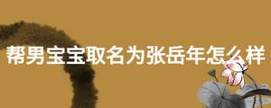 幫男寶寶取名為張?jiān)滥暝趺礃? width=