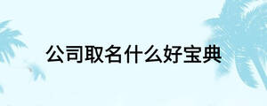 公司取名什么好寶典