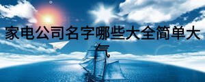 家電公司名字哪些大全簡單大氣