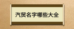 汽貿名字哪些大全