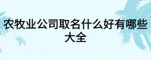 農(nóng)牧業(yè)公司取名什么好有哪些大全