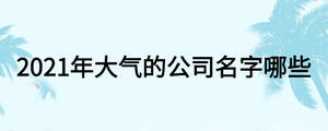 2021年大氣的公司名字哪些