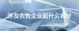 涉及農(nóng)牧企業(yè)起什么名好