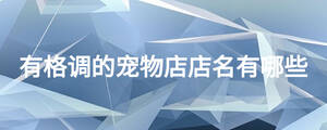 有格調(diào)的寵物店店名有哪些