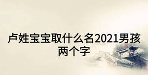 盧姓寶寶取什么名2021男孩兩個(gè)字