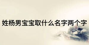 姓楊男寶寶取什么名字兩個字