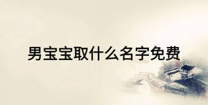男寶寶取什么名字免費