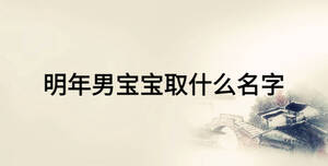 明年男寶寶取什么名字