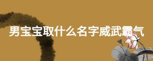 男寶寶取什么名字威武霸氣