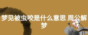 夢(mèng)見被蟲咬是什么意思 周公解夢(mèng)