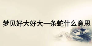 夢(mèng)見好大好大一條蛇什么意思
