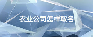 農業公司怎樣取名