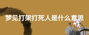 夢(mèng)見(jiàn)打架打死人是什么意思