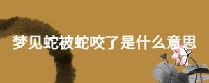 夢(mèng)見(jiàn)蛇被蛇咬了是什么意思