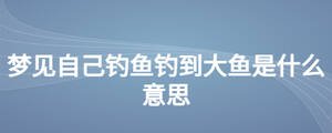 夢(mèng)見(jiàn)自己釣魚釣到大魚是什么意思