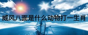 威風(fēng)八面是什么動(dòng)物打一生肖