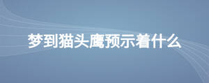 夢(mèng)到貓頭鷹預(yù)示著什么