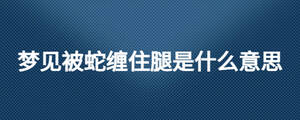 夢(mèng)見(jiàn)被蛇纏住腿是什么意思