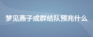 夢(mèng)見燕子成群結(jié)隊(duì)預(yù)兆什么