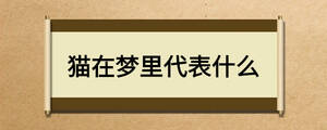 貓?jiān)趬衾锎硎裁? width=