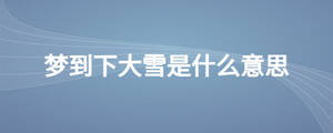夢(mèng)到下大雪是什么意思