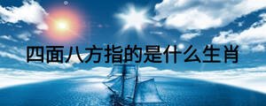 四面八方指的是什么生肖