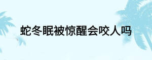 蛇冬眠被驚醒會(huì)咬人嗎