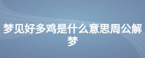 夢見好多雞是什么意思周公解夢