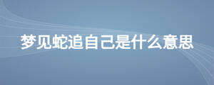 夢(mèng)見蛇追自己是什么意思
