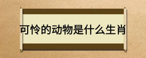 可憐的動(dòng)物是什么生肖