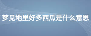 夢見地里好多西瓜是什么意思