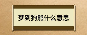 夢到狗熊什么意思