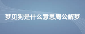 夢(mèng)見(jiàn)狗是什么意思周公解夢(mèng)