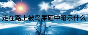 走在路上被鳥(niǎo)屎砸中暗示什么
