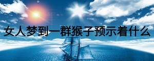 女人夢(mèng)到一群猴子預(yù)示著什么