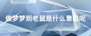 做夢夢到老鼠是什么意思呢