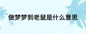 做夢夢到老鼠是什么意思
