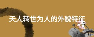 天人轉(zhuǎn)世為人的外貌特征