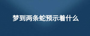 夢到兩條蛇預(yù)示著什么
