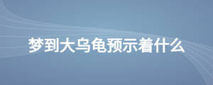 夢到大烏龜預(yù)示著什么