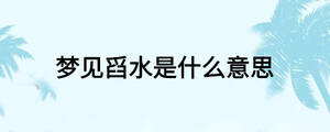 夢(mèng)見舀水是什么意思