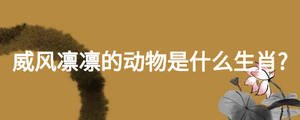威風凜凜的動物是什么生肖?